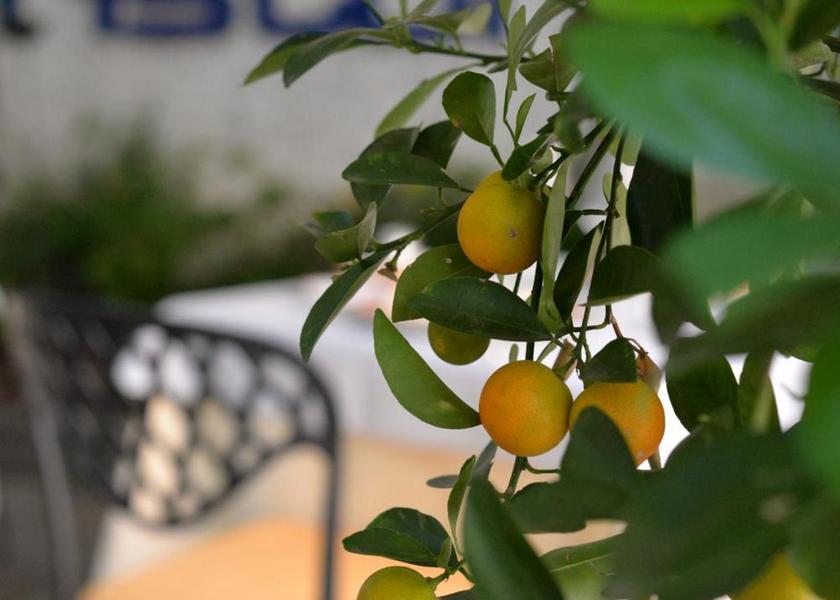 Lombardy Trescore Balneario Balcony/terrace