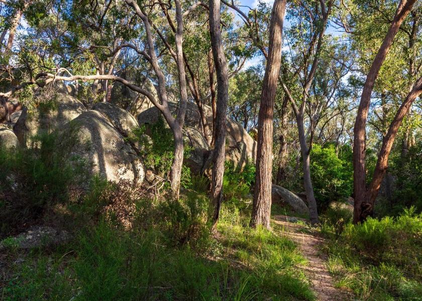 sports and activities