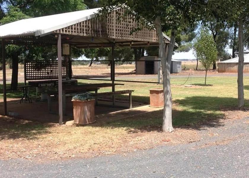 New South Wales Wagga Wagga surrounding environment