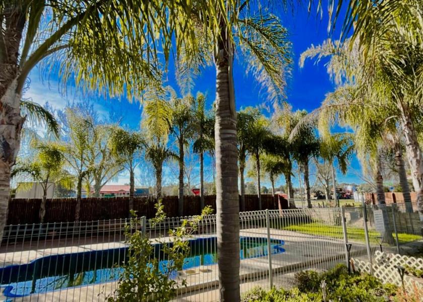 New South Wales Wagga Wagga garden