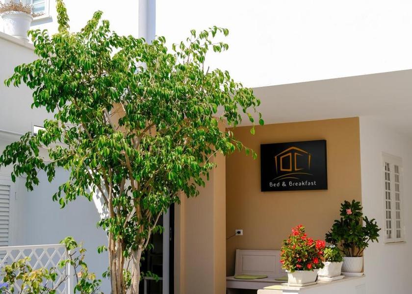 Campania Volla garden