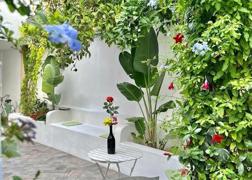 Campania Volla garden