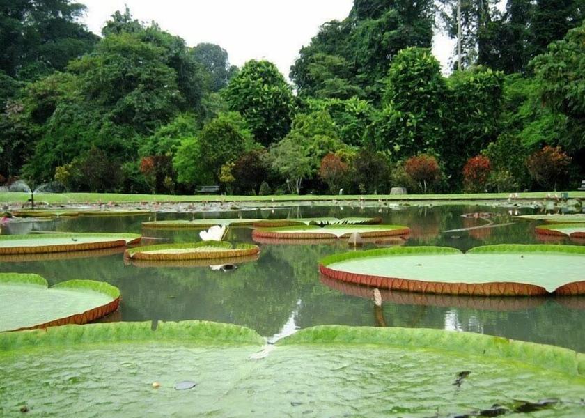 West Java Sentul City Point of interest