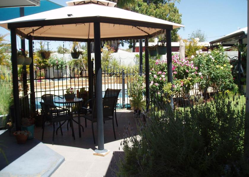 Northern Territory Alice Springs garden