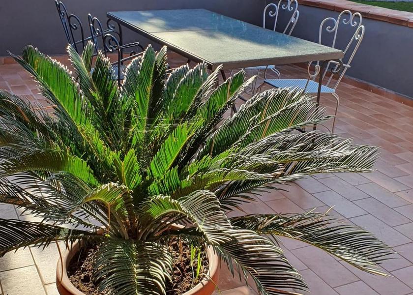 Campania Ercolano exterior view