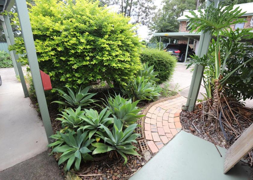 Queensland Monkland 