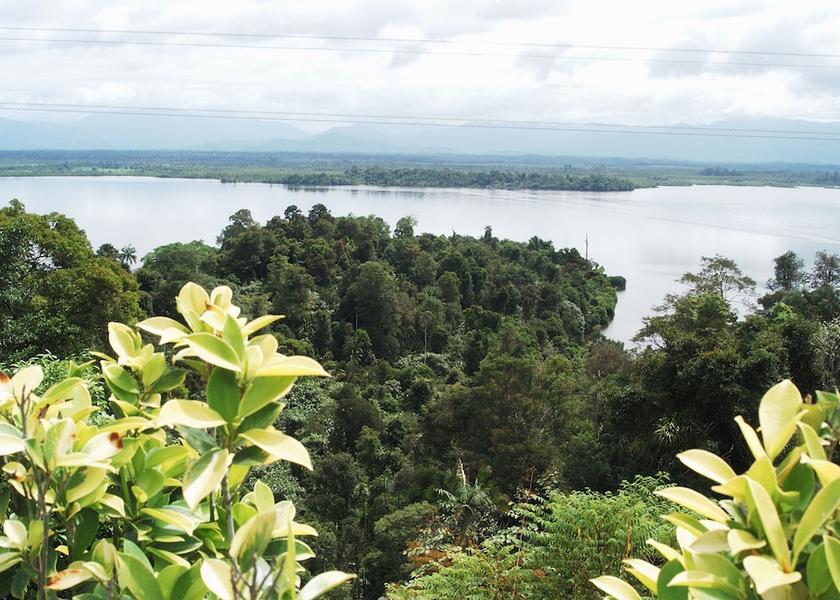 Perak Taiping Lake