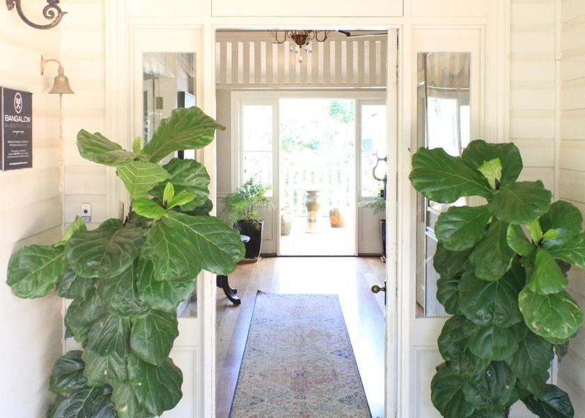 New South Wales Bangalow Entrance