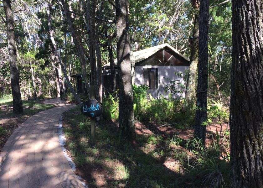New South Wales Byron Bay garden