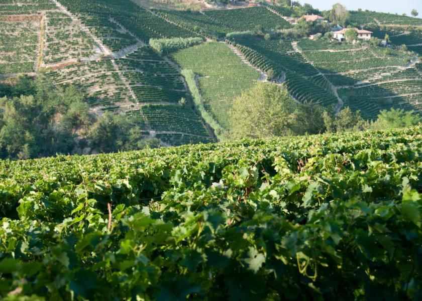 Piedmont Santo Stefano Belbo surrounding environment