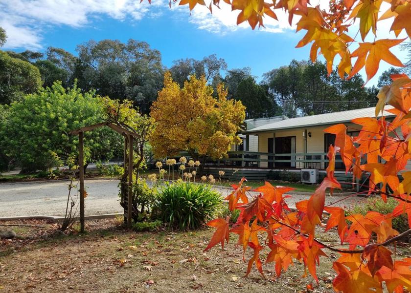 Victoria Beechworth garden