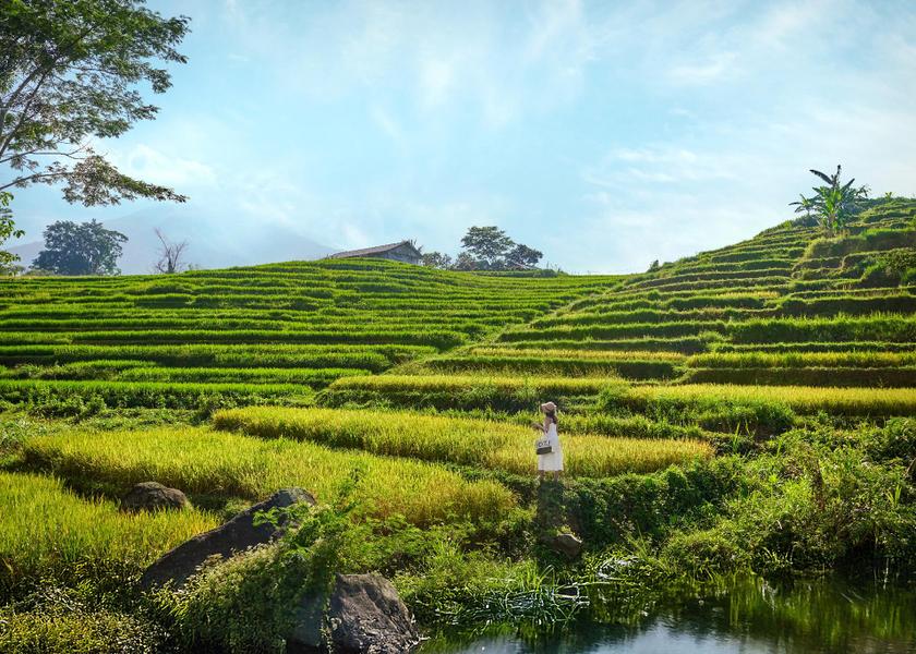 surrounding environment