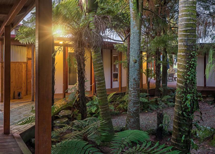 West Coast Karamea garden