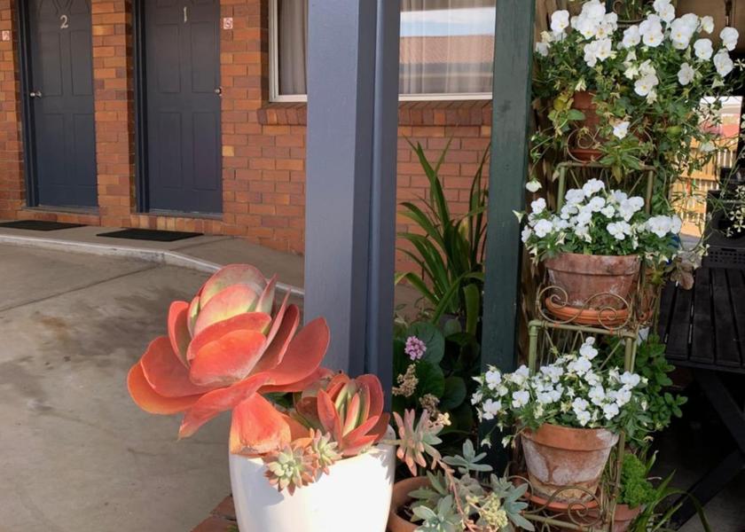 New South Wales Tenterfield 