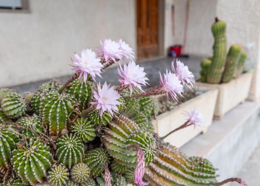 Abruzzo Casalbordino exterior view