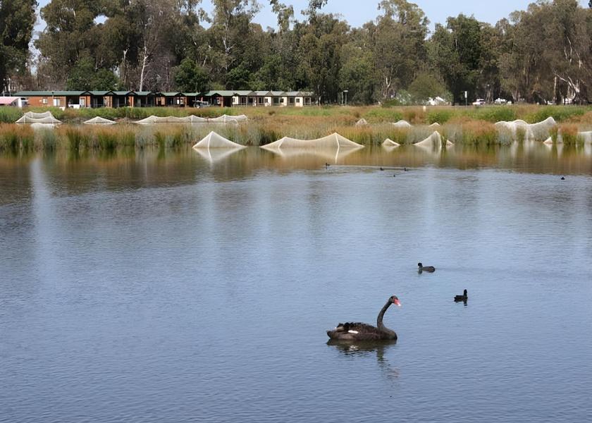 Victoria Shepparton nearby attraction