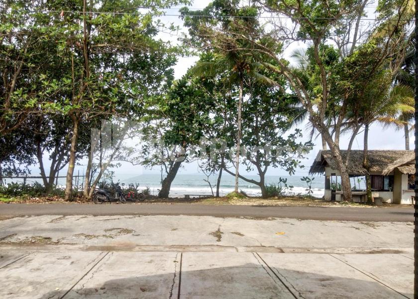 surrounding environment