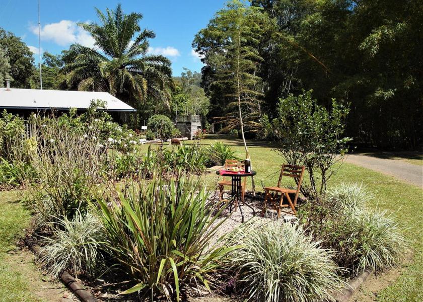 Queensland Speewah garden