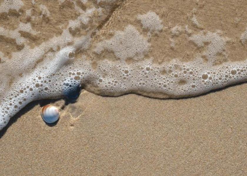 Tasmania Scamander Beach