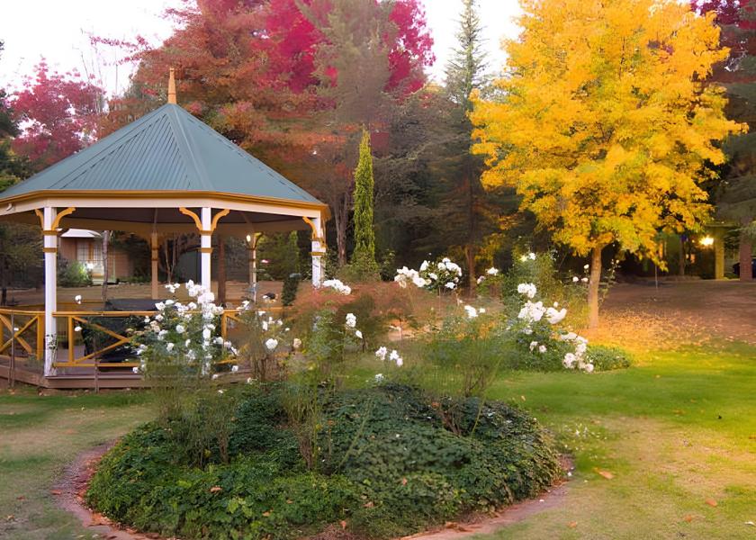 surrounding environment