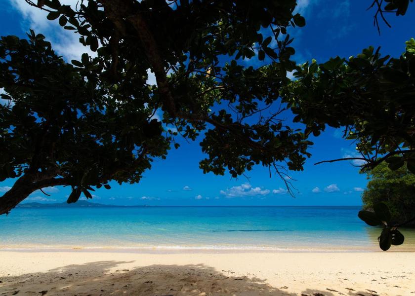 Okinawa Ishigaki 