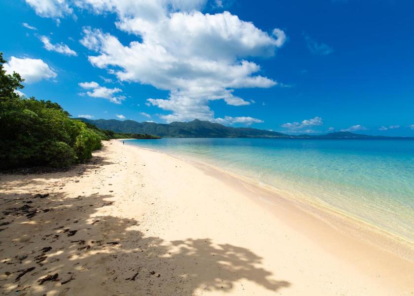 Okinawa Ishigaki 