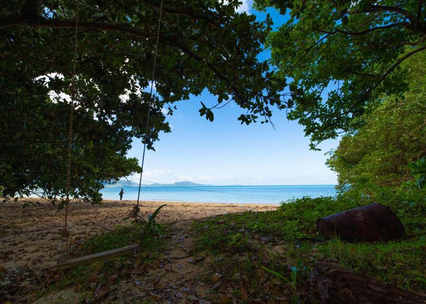 Okinawa Ishigaki 