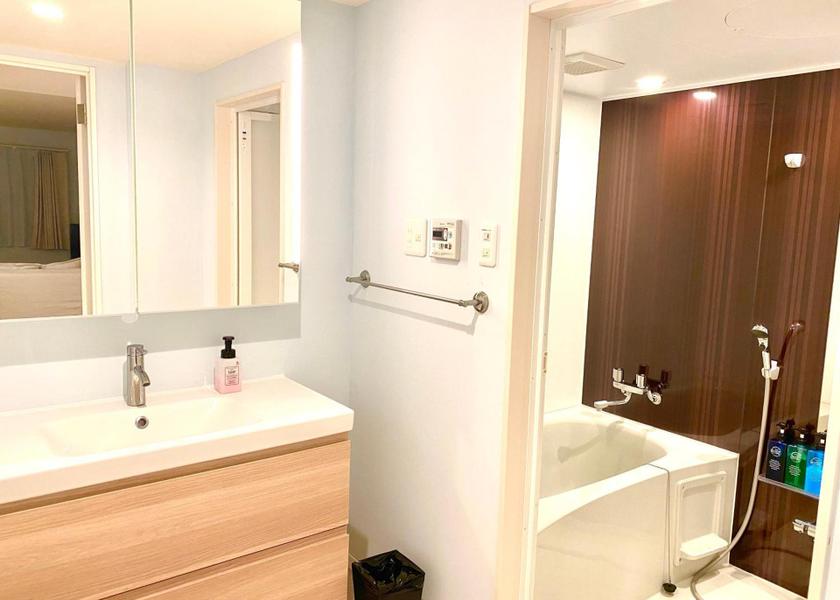 Okinawa Ishigaki Deluxe Twin Room