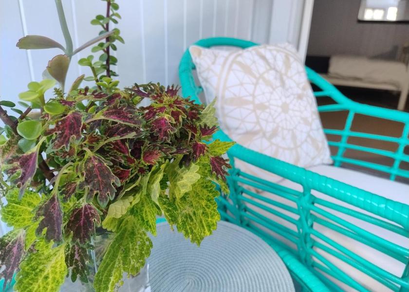 Queensland Townsville 