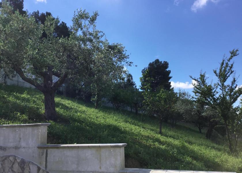 Abruzzo Moscufo garden