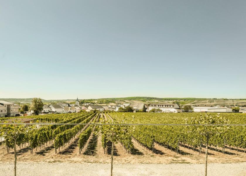Rhineland-Palatinate Palzem view