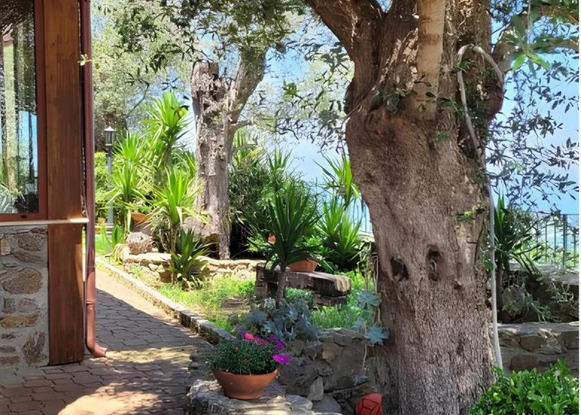Calabria Bagnara Calabra garden