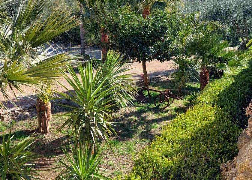 Calabria Bagnara Calabra garden