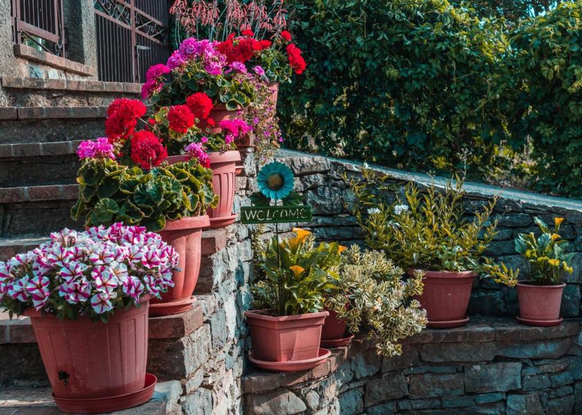 Calabria Mormanno 