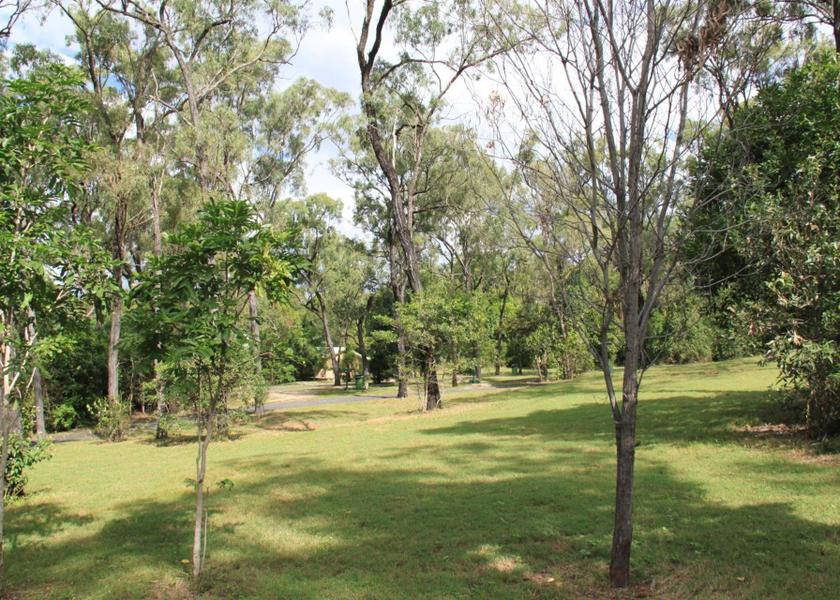 Queensland Rockhampton garden