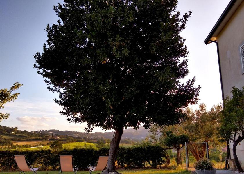 Campania Caiazzo garden