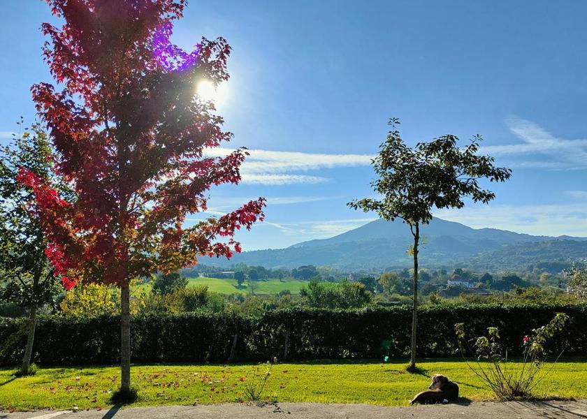 Campania Caiazzo garden