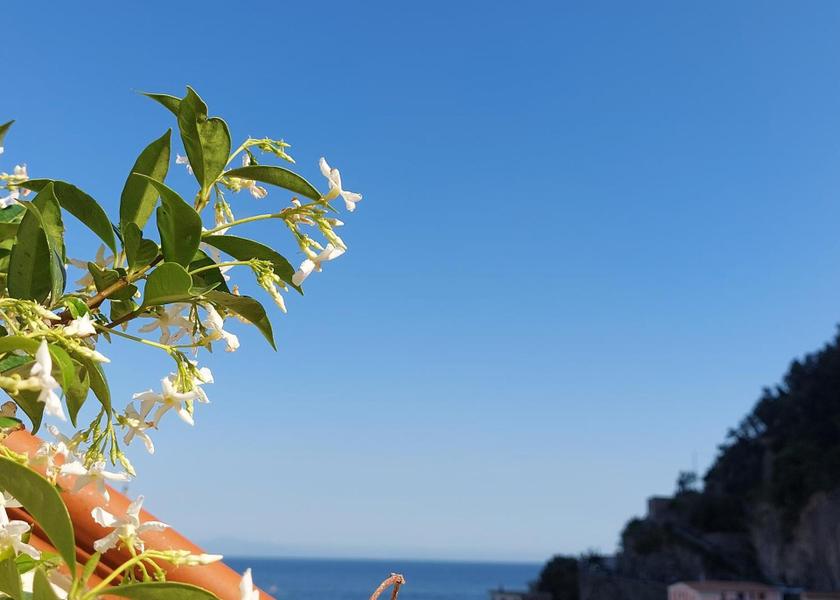 surrounding environment