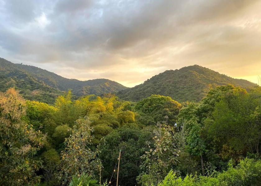 Magdalena Santa Marta surrounding environment