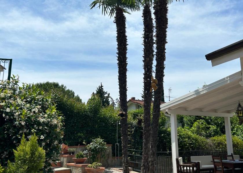 Campania Laureana Cilento 