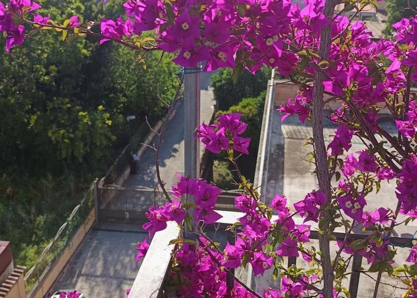 Campania Nocera Inferiore 