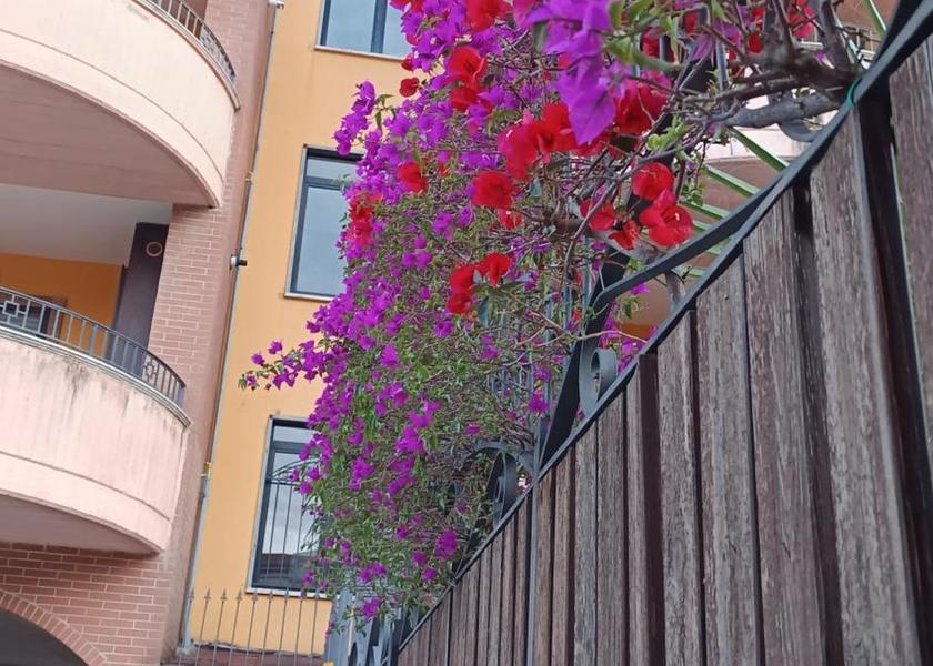 Campania Nocera Inferiore 