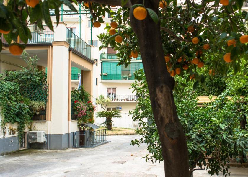 Campania Portici garden