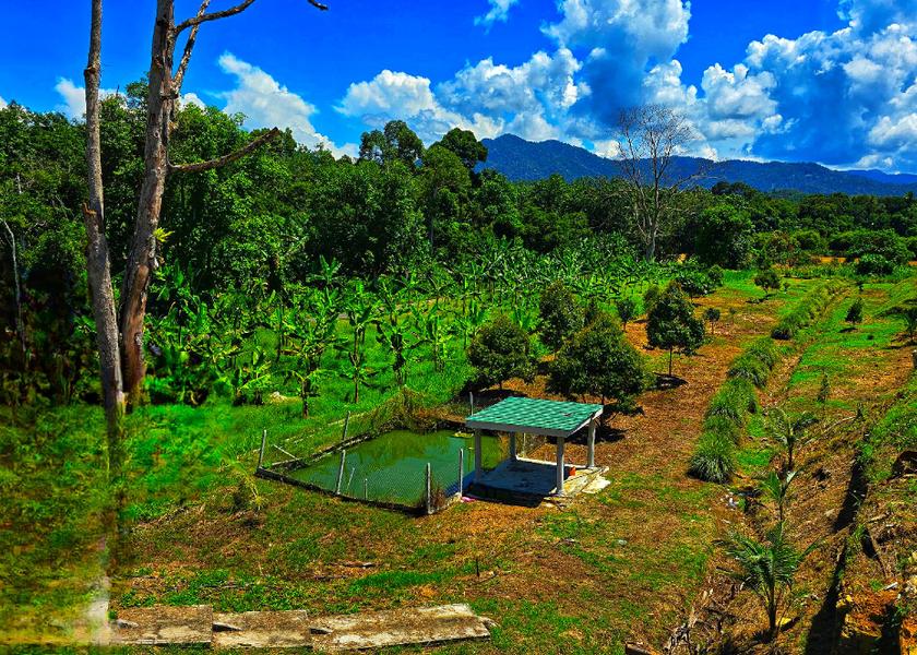 Perak Kuala Kangsar 