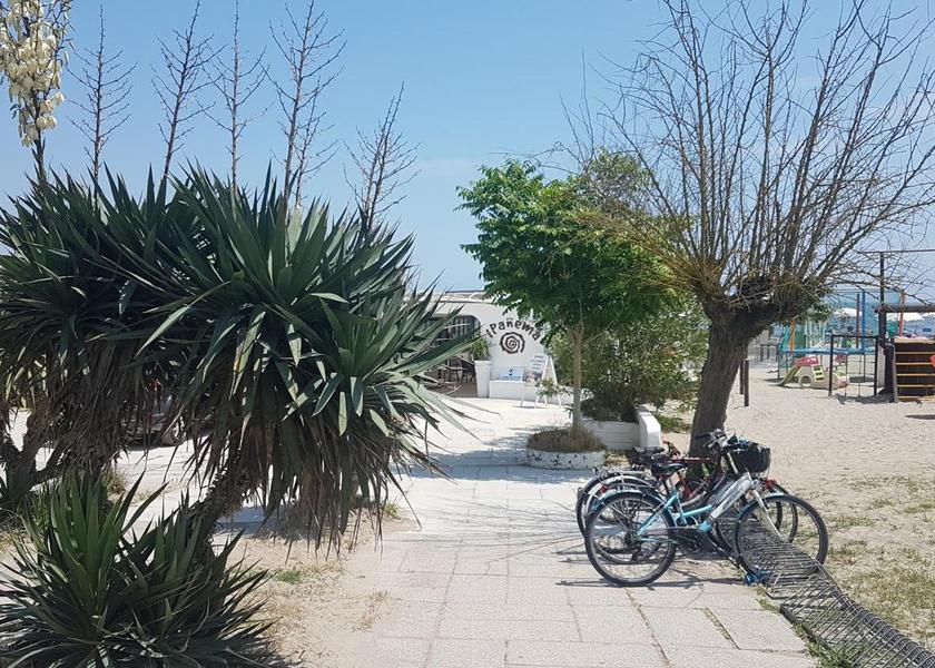 Emilia-Romagna Codigoro 