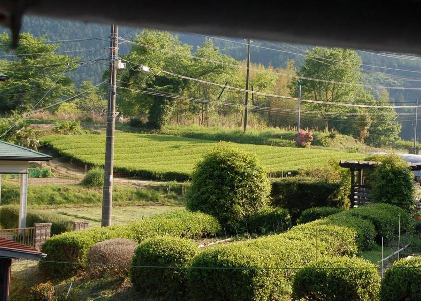 Shizuoka Kakegawa 