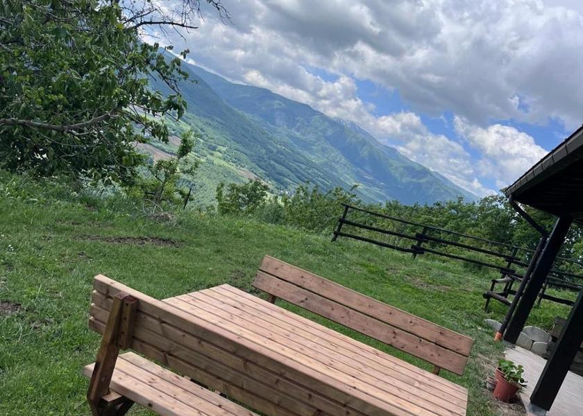 surrounding environment