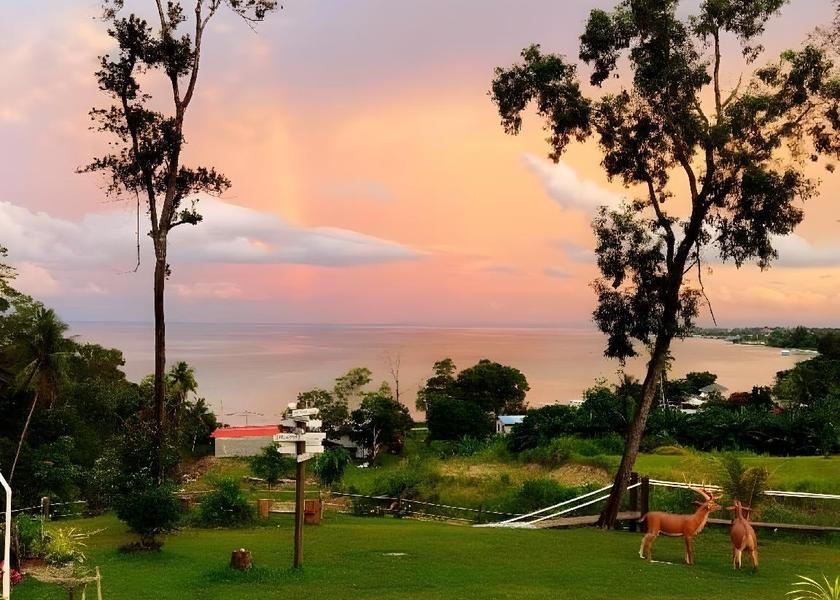 surrounding environment