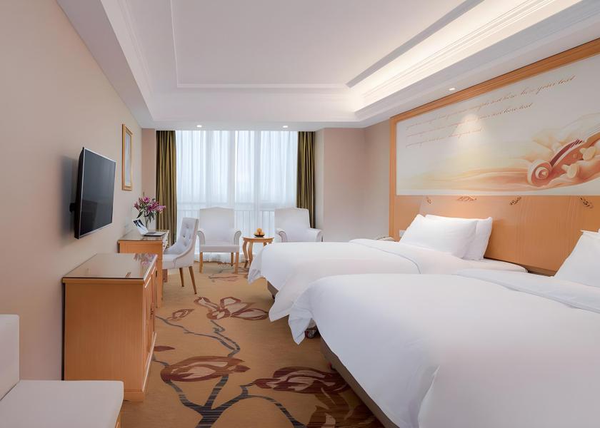 Guangdong Qingyuan Vienna - Deluxe Room