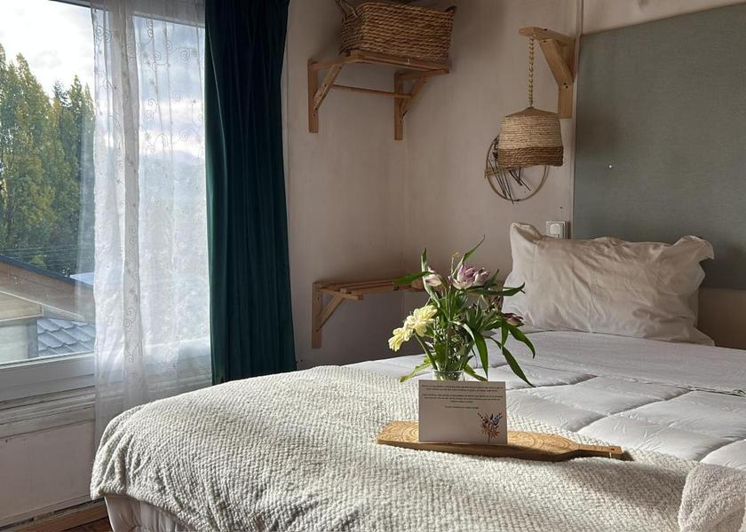 Aisen (region) Coyhaique Double Room with Private Bathroom